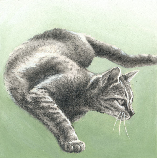 The Pounce (Panel 1)